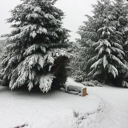 サンカルロスデバリローチェ Terrazas Del Lopezヴィラ エクステリア 写真